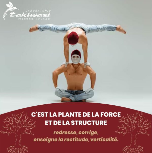 Teinture mère de Chuchuwasi – Image 2