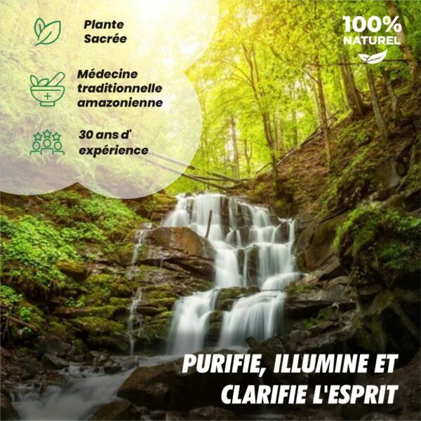 Teinture mère de Mucura – Image 3