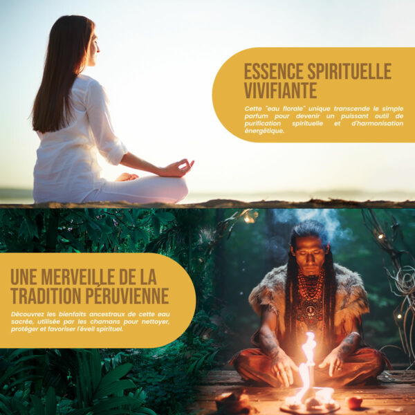 3 Agua Florida original <br>-20% + Palo Santo OFFERT – Image 3