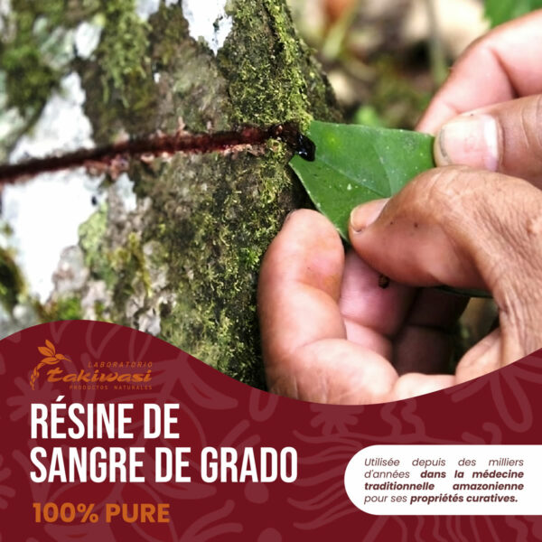 Resine de Sangre de Grado (Sang du Dragon) – Image 6