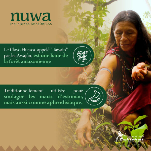 Infusion Nuwa  <br>Clavo Huasca – Image 2