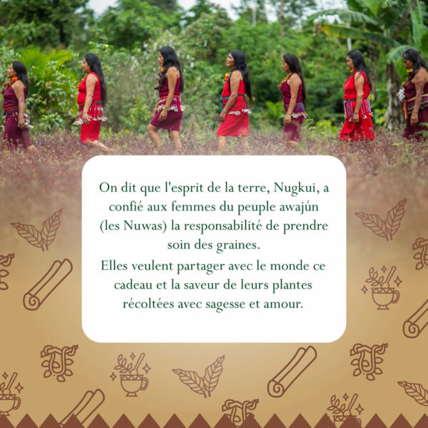 Infusion Nuwa  <br>Clavo Huasca – Image 3