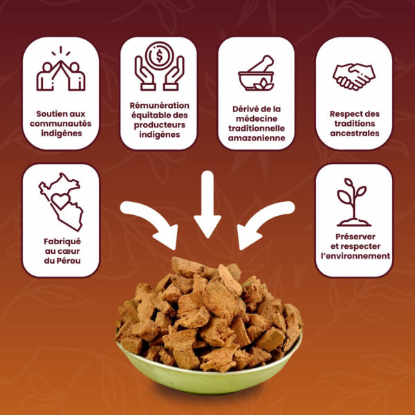 Ecorces de Chuchuwasi – Image 4