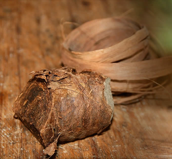 Les masos de Tabac