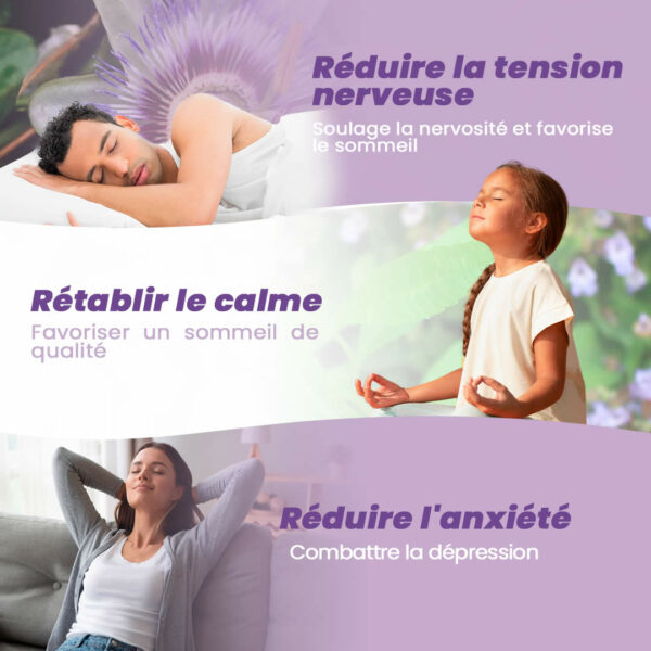 Teinture mère Pasiflora – Image 3