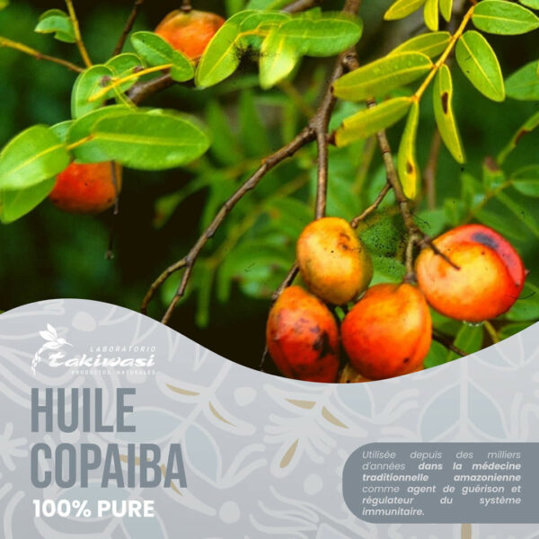 Huile de Copaiba – Image 6