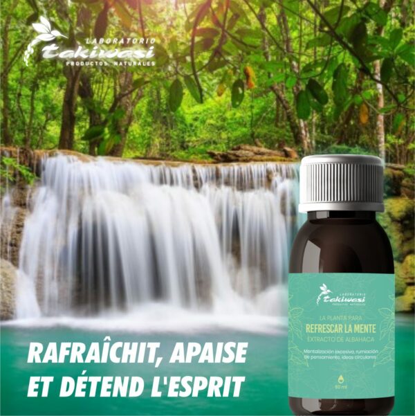 Teinture mère d'Albahaca negra – Image 5