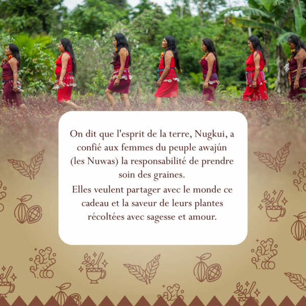 Infusion Nuwa <br> Jengibre / Cacao – Image 3