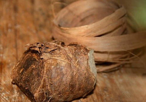 Les masos de Tabac
