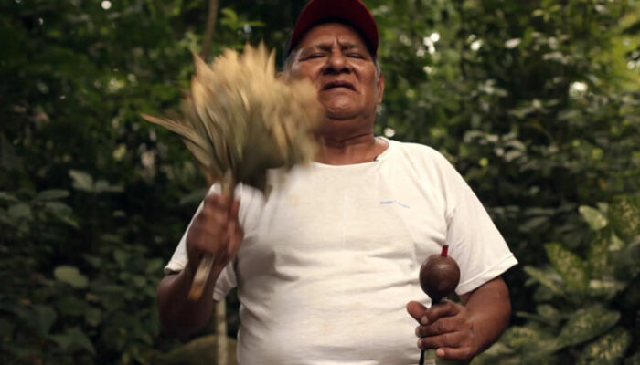 guérisseurs de l’Amazonie guérisseurs de l'Amazonie