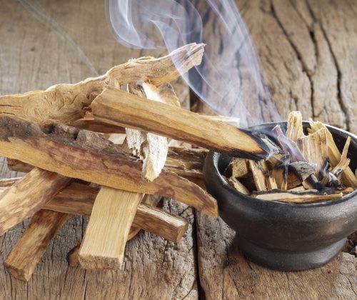 Sacred wood "palo santo" - Bursera graveolens,on rustic wood background
